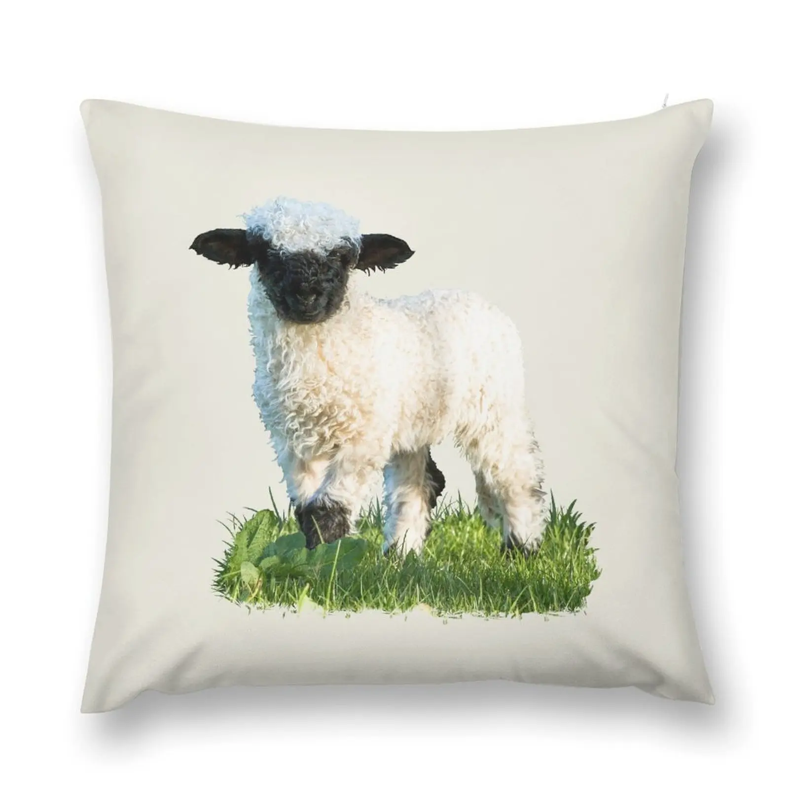 Valais Blacknose Lamb in a Meadow Throw Pillow Covers For Sofas Cushions For Decorative Sofa Cushions For Children pillow