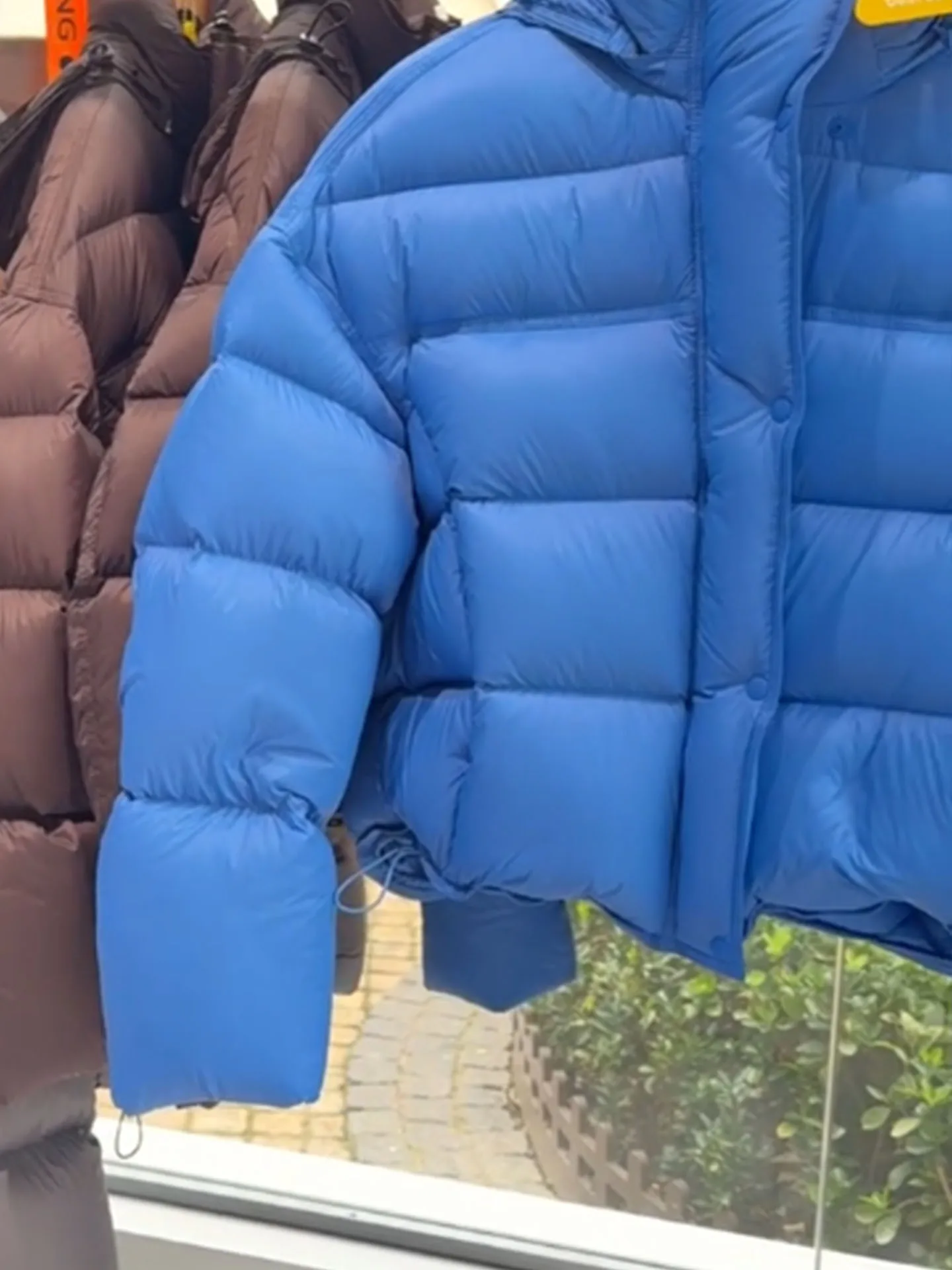 Jaet con capucha acolchada de ort azul para mujer, abrigo de invierno con pan cálido, talla pequeña, patrón de tortuga ell Ba