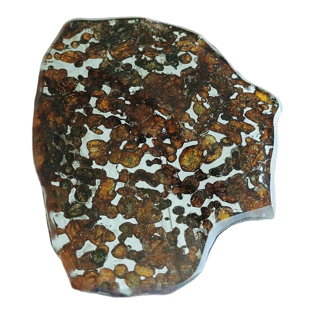 93.5gSERICHO Pallasite Natural Meteorite Material Sliced Olive Meteorite Slices Specimen Gift - From Kenya - TA208