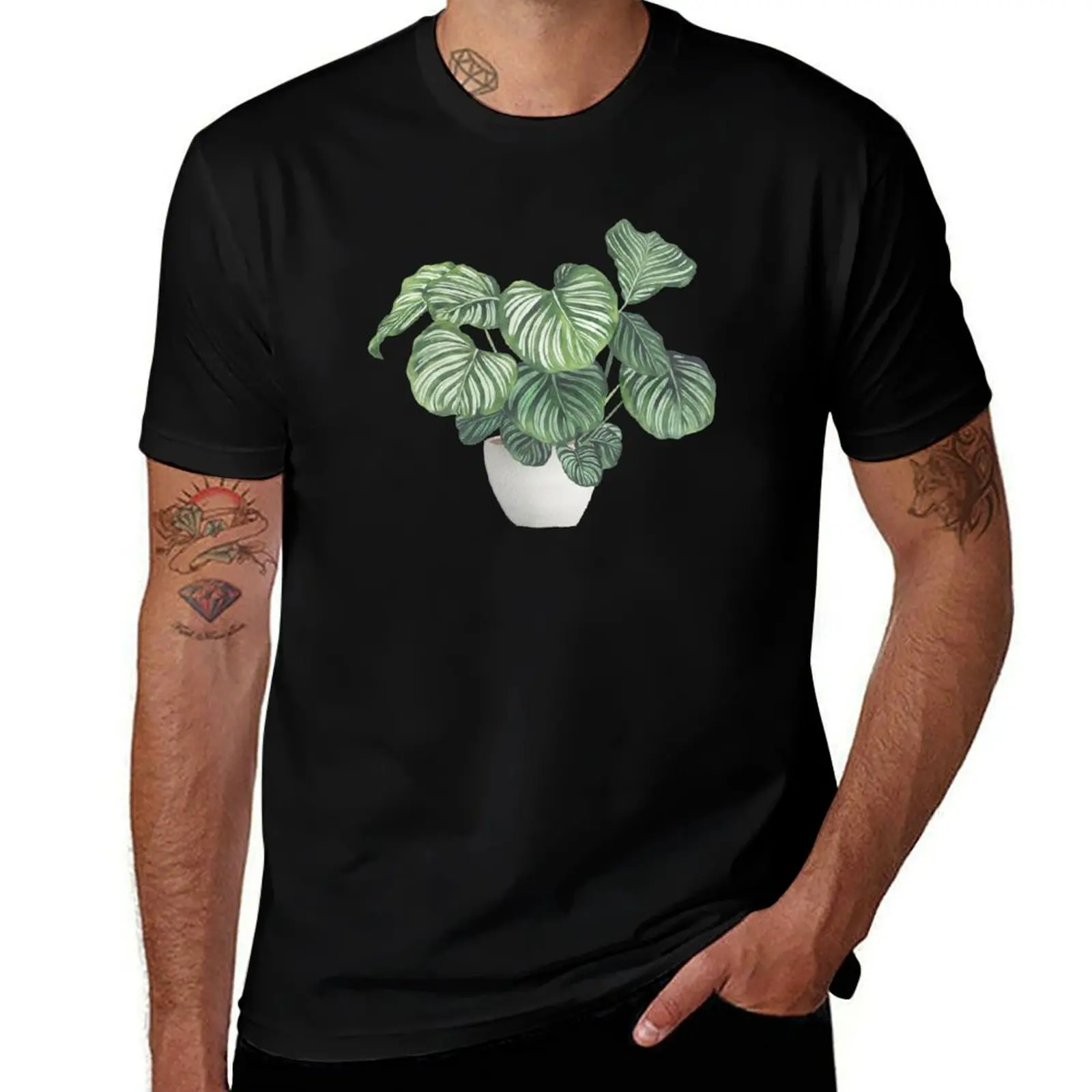Potted Calathea Plant T-Shirt Classic Graphic Short Sleeve Top