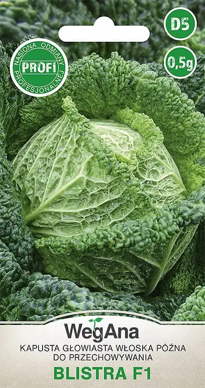 Late Blistra Italian Head Cabbage F1 0.5g VegAna Vegetable Cabbage Seeds