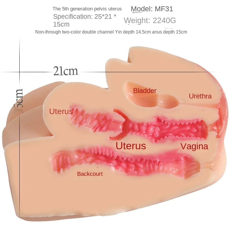 Male Masturbator Simulation Heating pelvis Uterus Vagina Anal Sex Toys Adult Products for English Japanese Korean voice