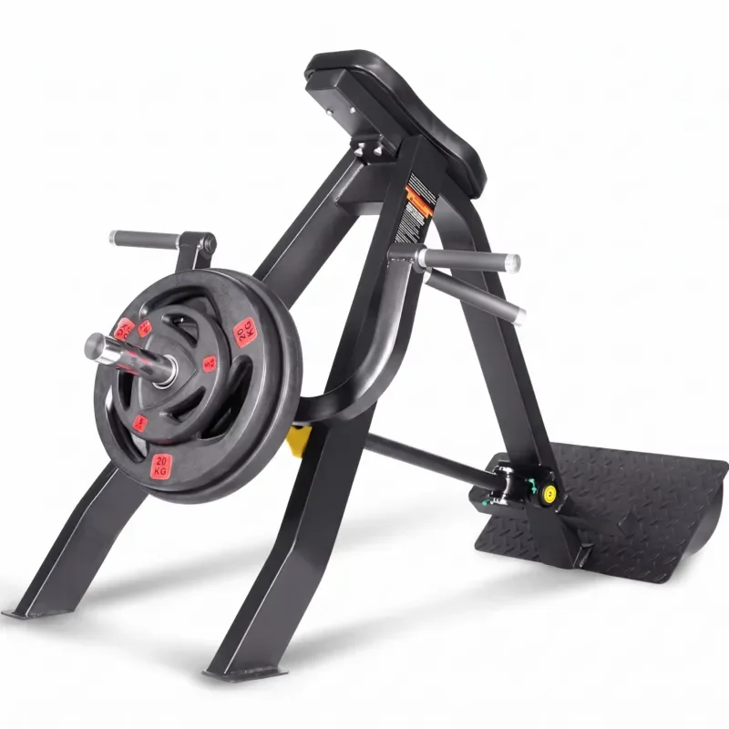 Steel T-Row Trainer T-Rod Trainer for gym fitness and standing posture training, model DGN70