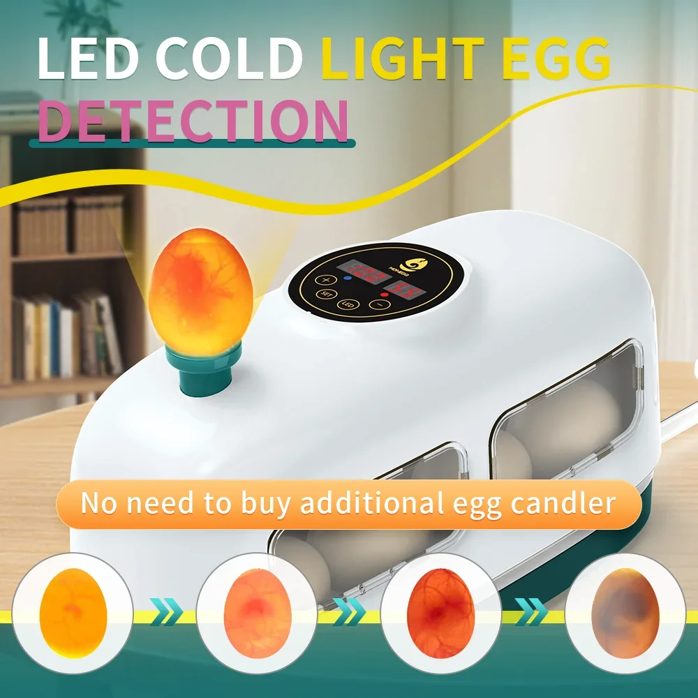 8-Egg Capacity Incubator for Hatching Chicken Poultry Eggs with Automatic Egg Turning And Temperature Control Home Egg Hatcher w
