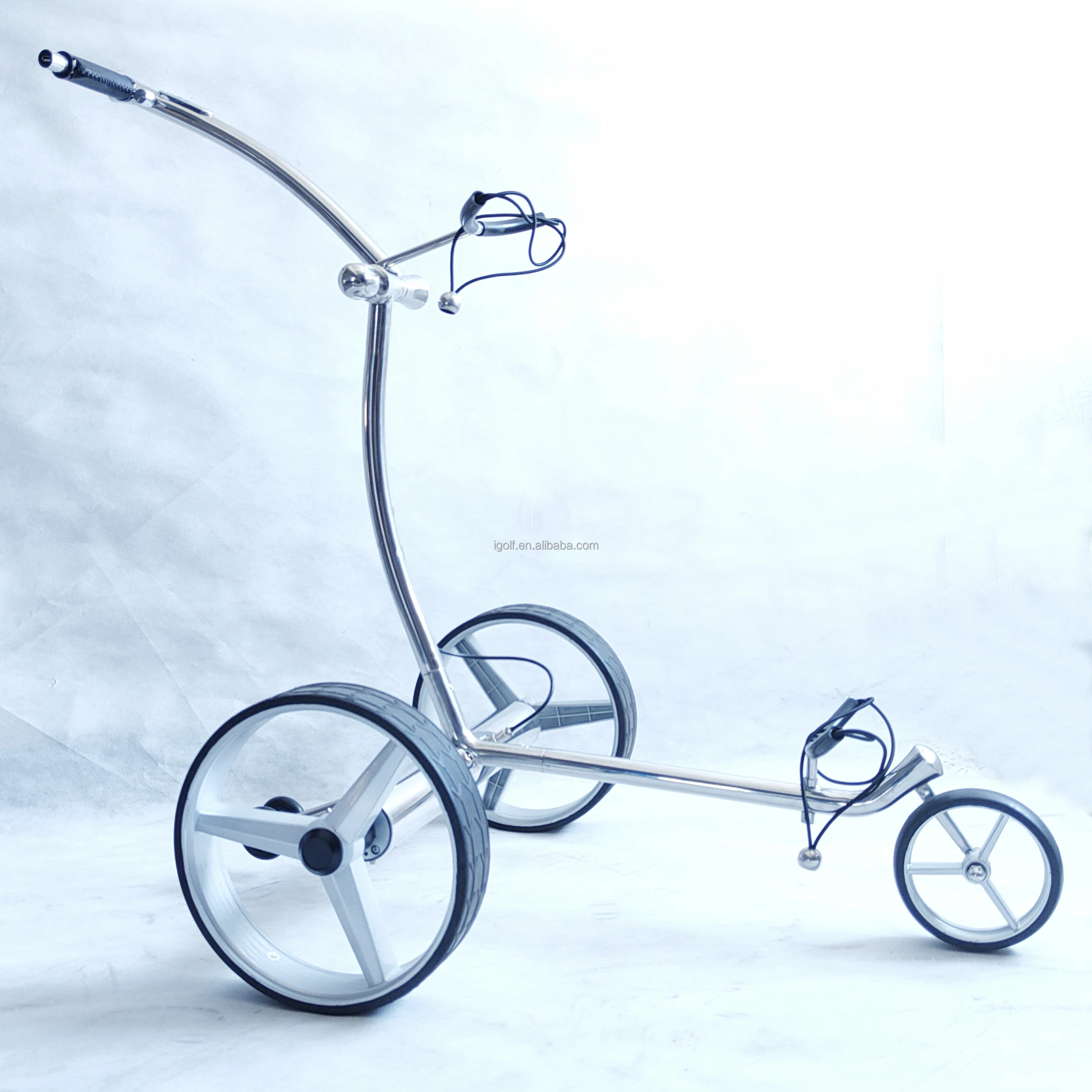 ZJW high-quality products Electric Golf Cart with Remote Control