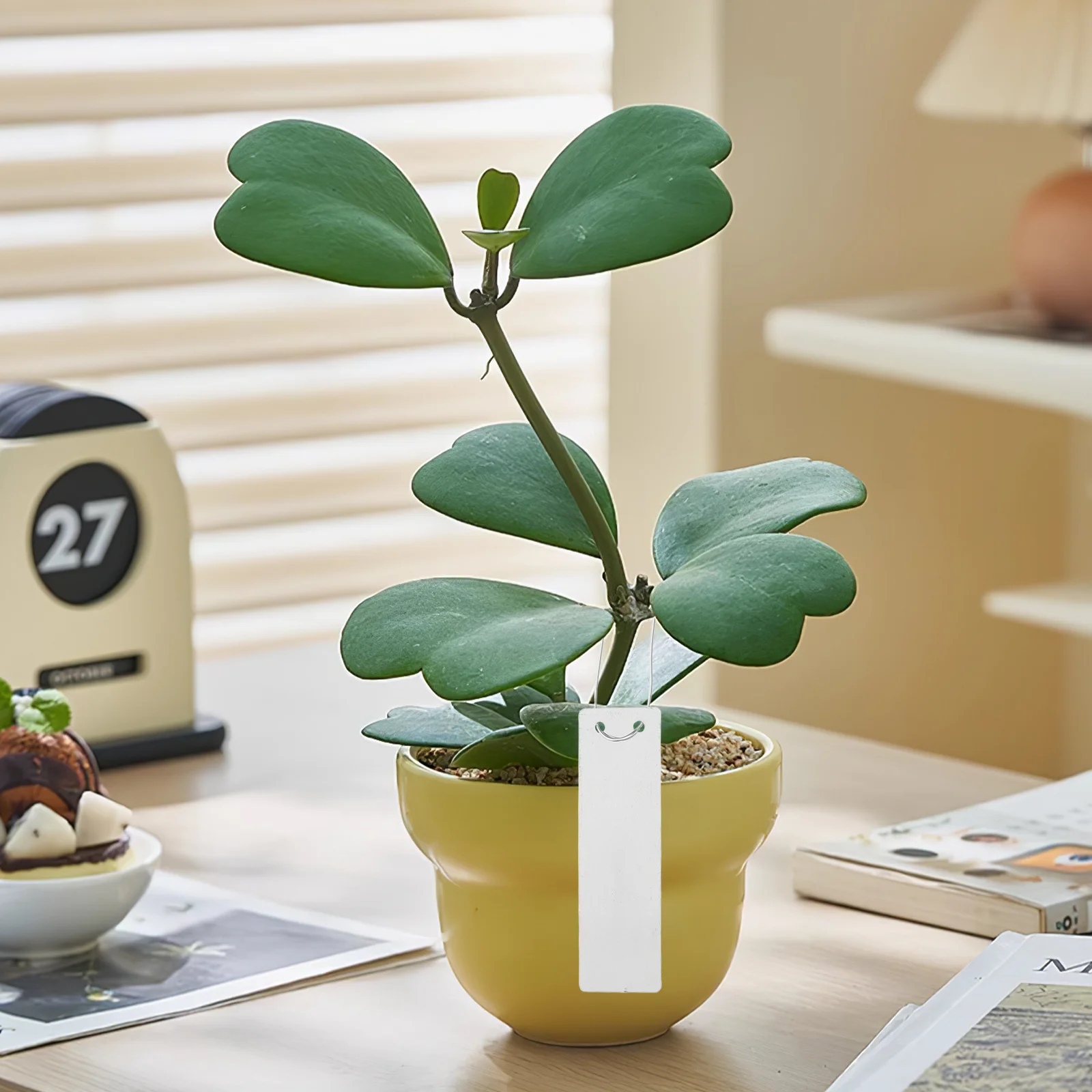 

20Pcs Aluminum Metal Plant Labels Stable Weather-Resistant Blank Herb Tags Garden Vegetable Fruit Markers 3.2x1in Outdoor