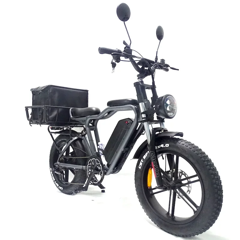 20Inch Fat Tire Cargo Bike For Sale Food 2 Wheel 500W 20Ah Battery Electric Delivery Bike