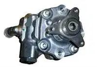 491100915R steering pump M9T double wheel MASTER III 2,3