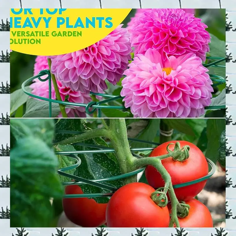 

3 Sets Peony Support Cage, Grow Through Hoops Grids With 4Pcs Legs,Plant Support Brace,Flower Strong Support Ring Durable