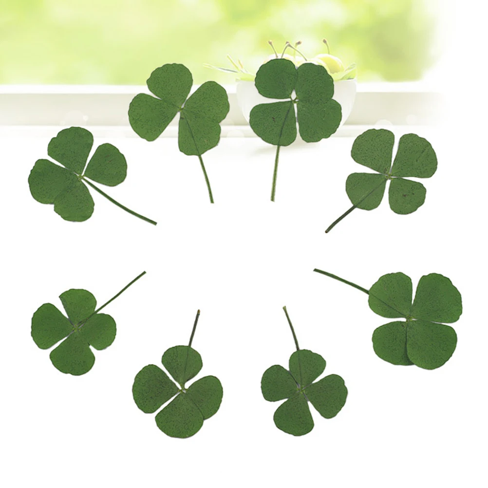 

12pcs Pressed Dried For Diy Jewelry Pendant Accessories Four Leaf Handmade Decorations Dried Plants For Craft