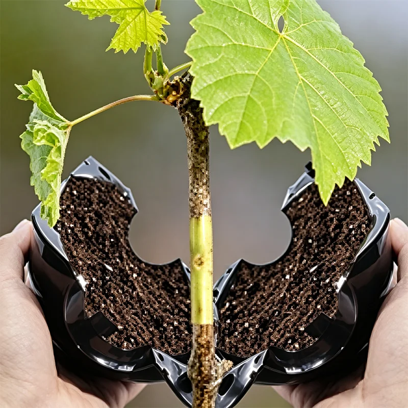 Plant Rooting Ball Reusable Propagation Root Box Plant Root Breeding Ball Garden Cuttings Grafting High Pressure Propagation Pot