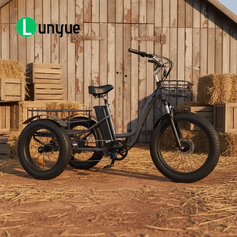 Practical Three Wheel Electric Tricycle Wide Tire Open Body Cargo Bike Disc Brake Pedal Assist E Trike for Freight Transport