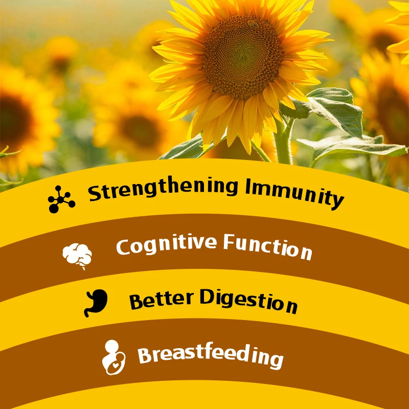 Sunflower Lecithin Capsules Health Product Promote Cardiovascular Health Protect the Liver Support Breast Health Relieve Anxiety