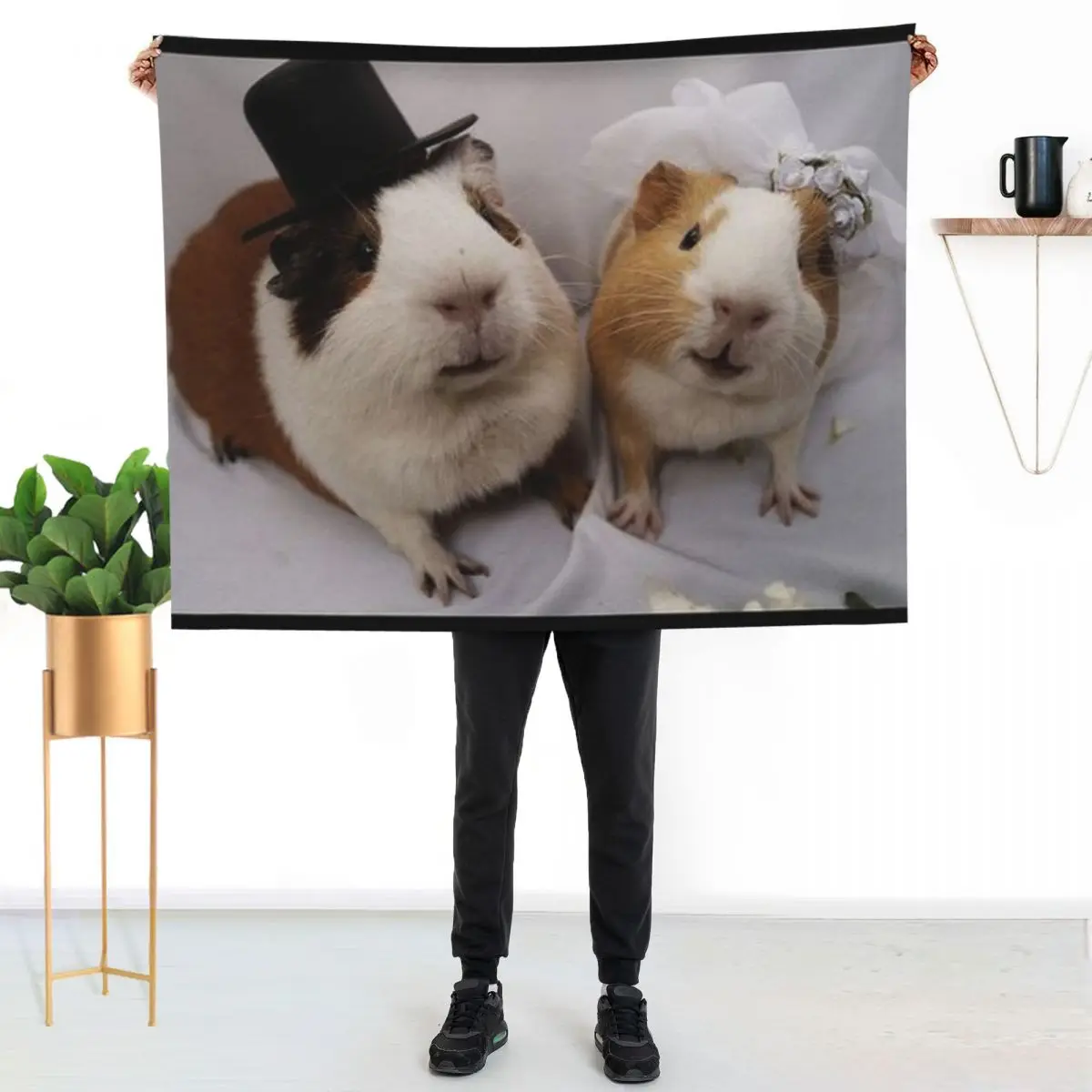 Guinea Pig a?? Cavy Collection a?? Model 21 Throw Blanket Thin Decorative Sofa for sofa Beautifuls For Sofa Thin Blankets