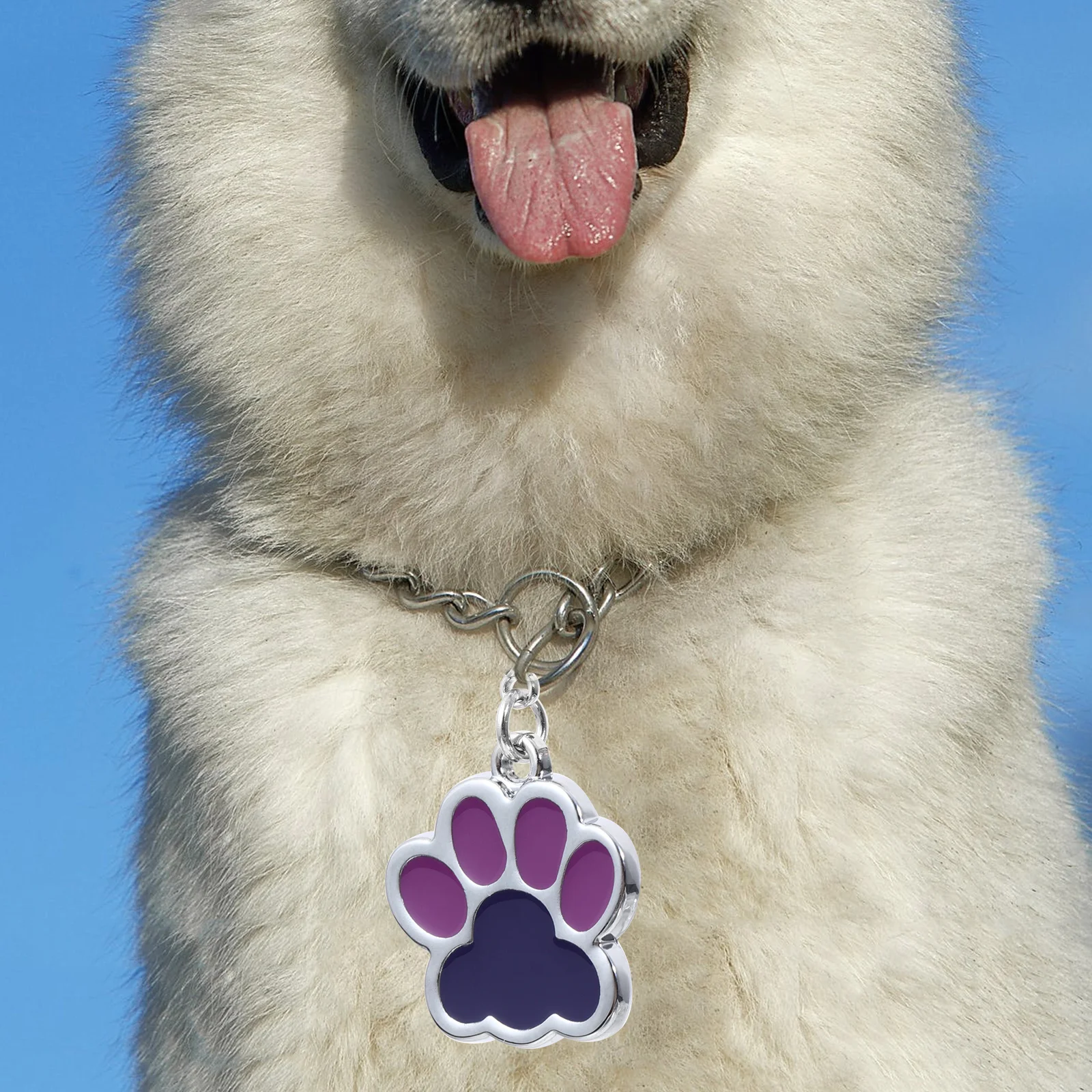 

6Pcs Metal Pet Tags Zinc Alloy Id Hangings Durable Polished Unique Charming Elegant Zinc Alloy Pet Tag Dog Id Tags