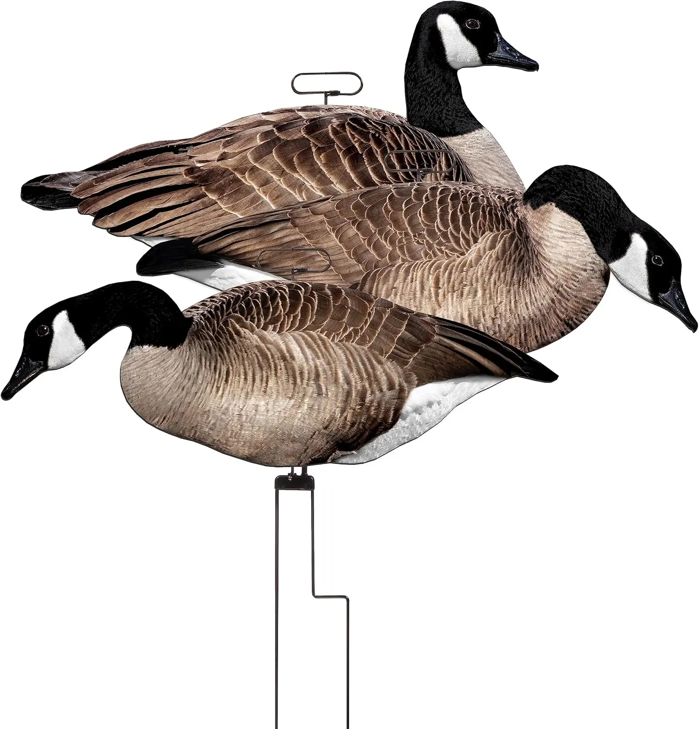 Outdoors Flats Motion Silhouette Canada Goose Decoys, 12-Pack