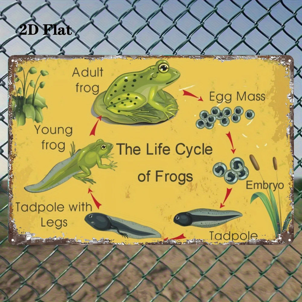 2D Metal Wall Plaque Frog Life Cycle Educational Biology Chart 1PC Iron Vintage Science Decor Classroom Homeschool Room
