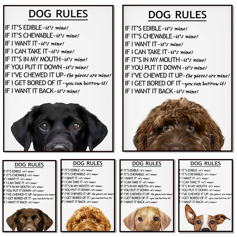 Dog Rules, Black Cockapoo, Red Fox Labrador, Adorable, Peeking, Jack Russell Terrier Art Print, Cute, Funny Cockapoo Art Poster