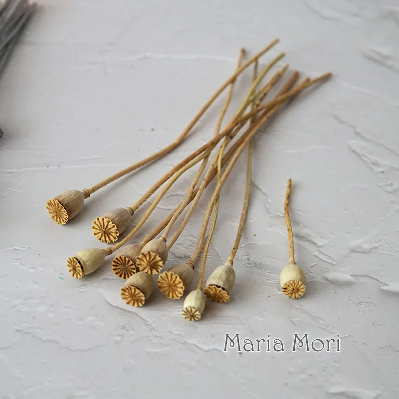 10 Stück/konservierte Blumen, Mais Mohn, Obst, Heimdekoration, DIY-Material, Kristallkleber, handgefertigte Kerzen, Epoxidharzblumen, Gold, Silber – Detail 10