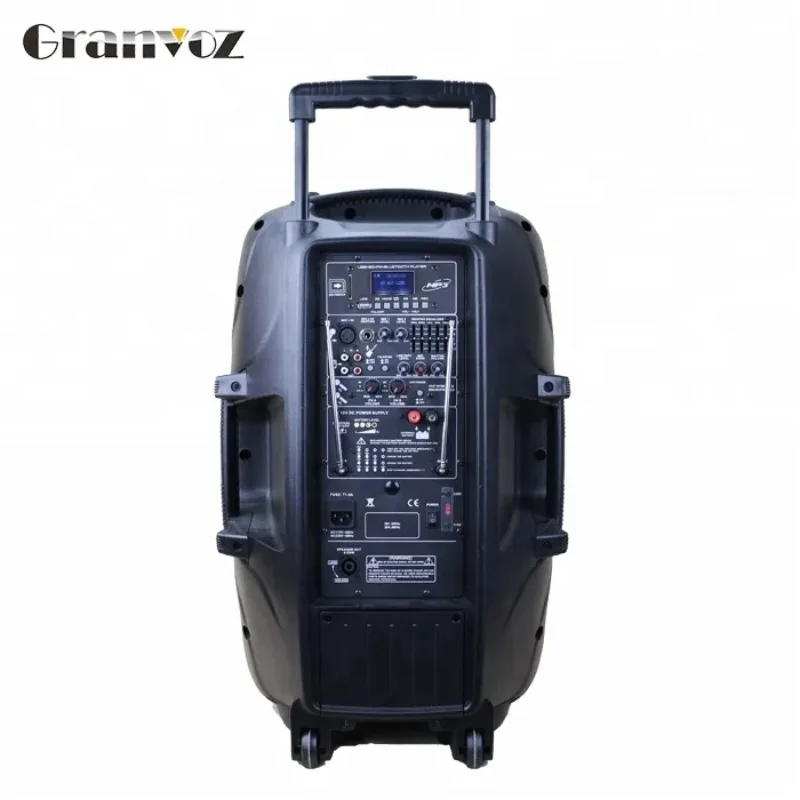 

2025PAPJ-15AUC 15 inch portable wireless amplifier rechargeable speaker box