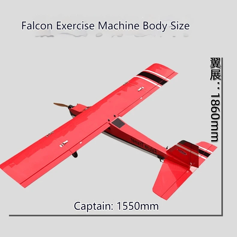 Zyhobby Balsa Wood Fixed-Wing Model Airplane induction Training Machine Falcon Trainet Training Eagles con aeromodelli