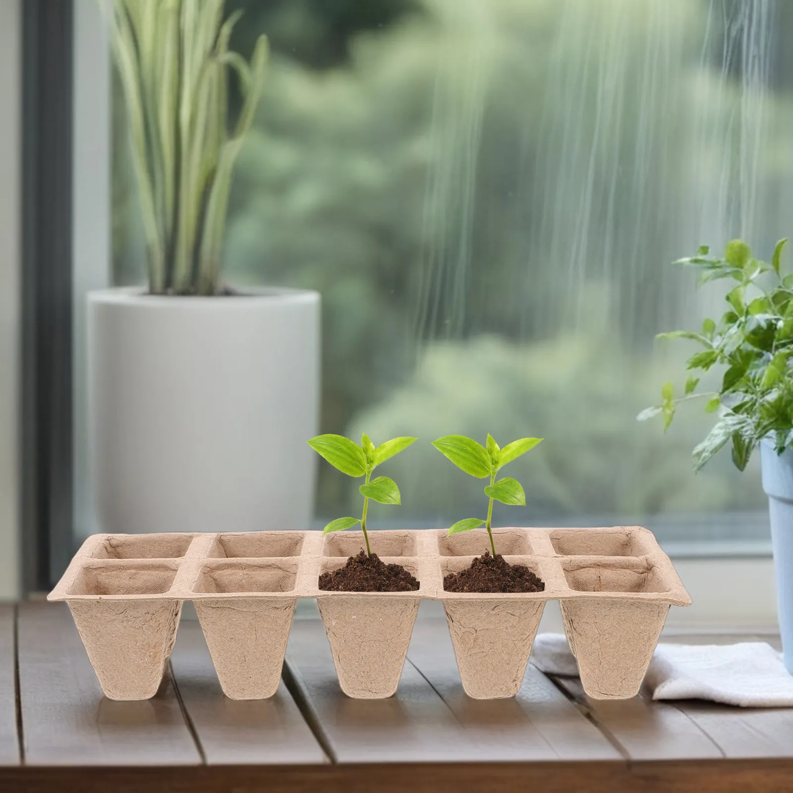 20Pcs Nursery Pot Seedling Tray 10-Hole Plant Fiber Cups for Indoor Outdoor Seedling Starter Germination Flower Vegetable Garden