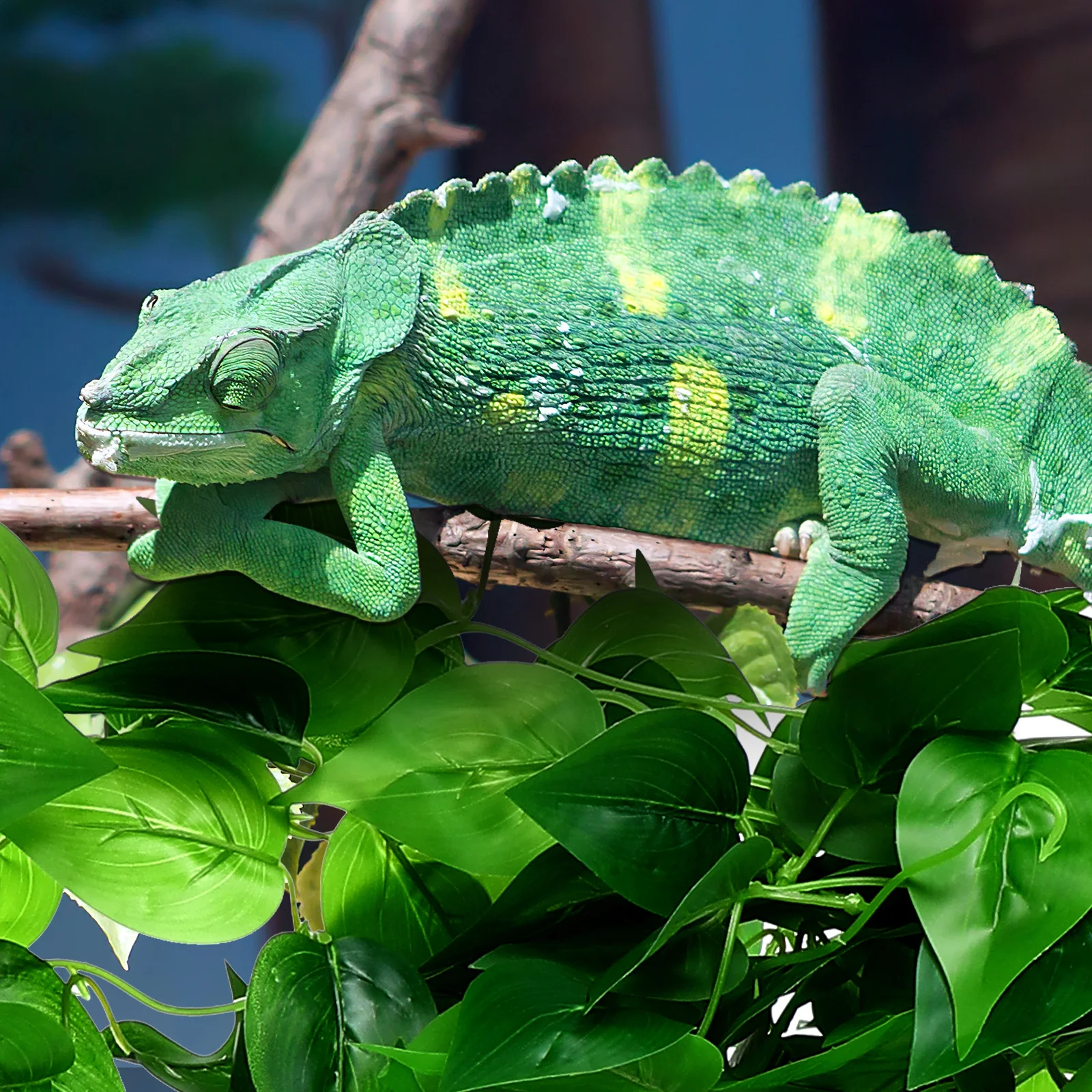 

2pcs Simulated Green Leaves Premium Faux Plants Reptile Terrariums Lifelike Decor Resin Plastic Gecko Snake Tank