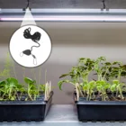 rope clip hanger ratchet