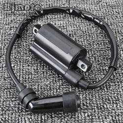 AN400 2016 Motorcycle Ignition Coil Assy For Suzuki AN250 AN400 Skywave Burgman 250 400 33410-14F00 33410-05H00 AN400 1998-2016