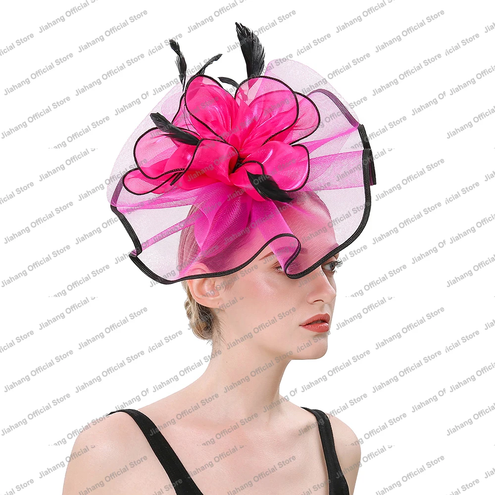 

Bridal Fascinator Hat Feather Organza Flower Clip Ascot Kentucky Derby Headwear Party Photography Head Dress for Women Girls