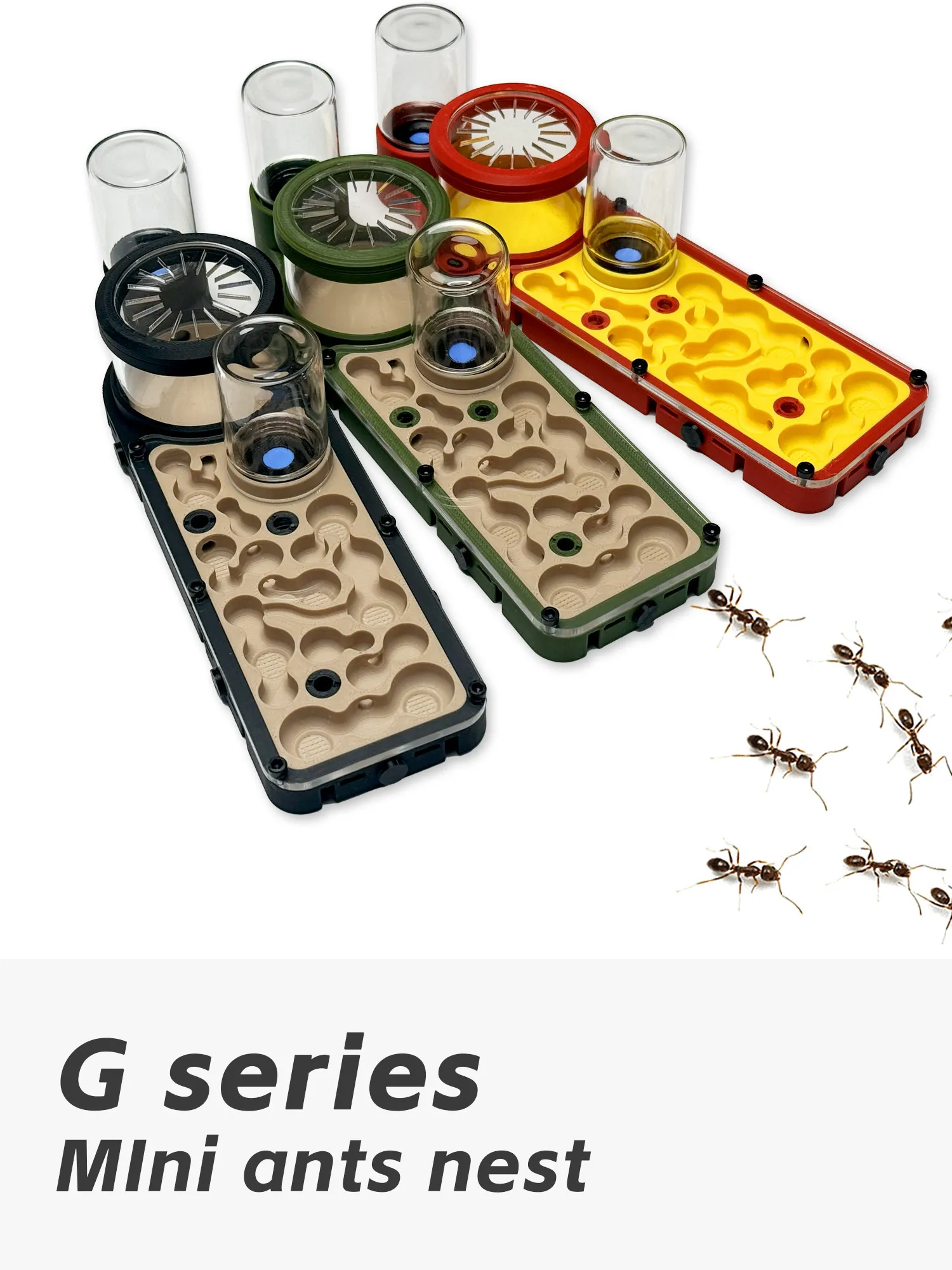 Ant Nest G1 Is Suitable for Mini Ants, Two-color Shield-chest Leaf-cutting  Small House  Paving  Belly-lifting