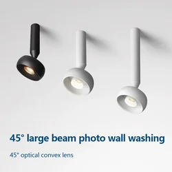 Rotating Adjustable Ceiling Spotlight Living room Round LED Lamp for Dining Entrance Aisle Home Decor Downlight Lighting Fixture