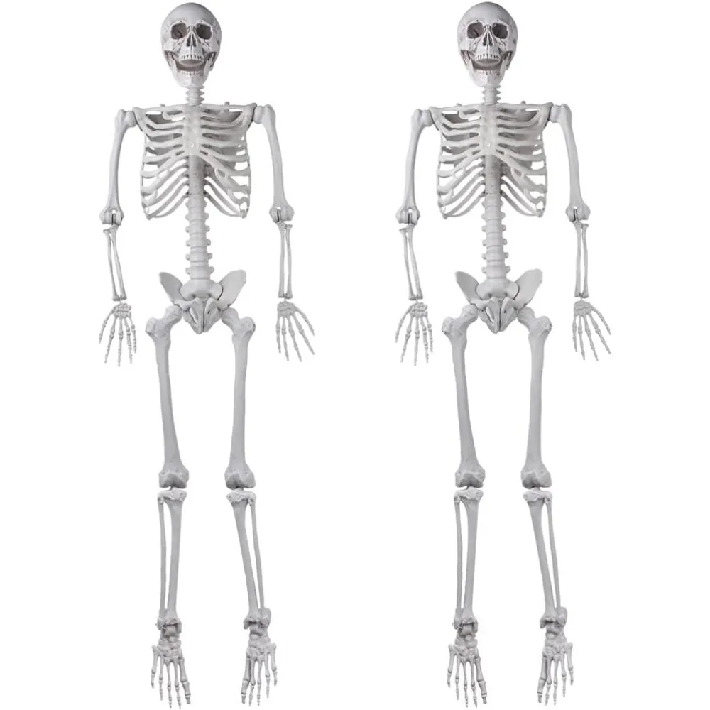 

2Packs 5.4ft Halloween Human Skeletons Life Size Full Body Bones with Movable Joints for Halloween Props Spooky Party Decoration