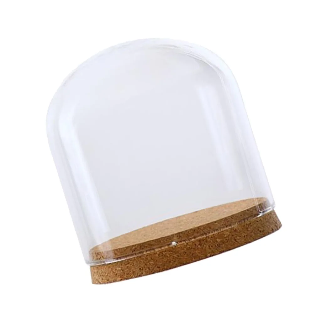 Clear Glass Display Dome Cover Cloche Bell Jar Succulent Plants Terrariums with