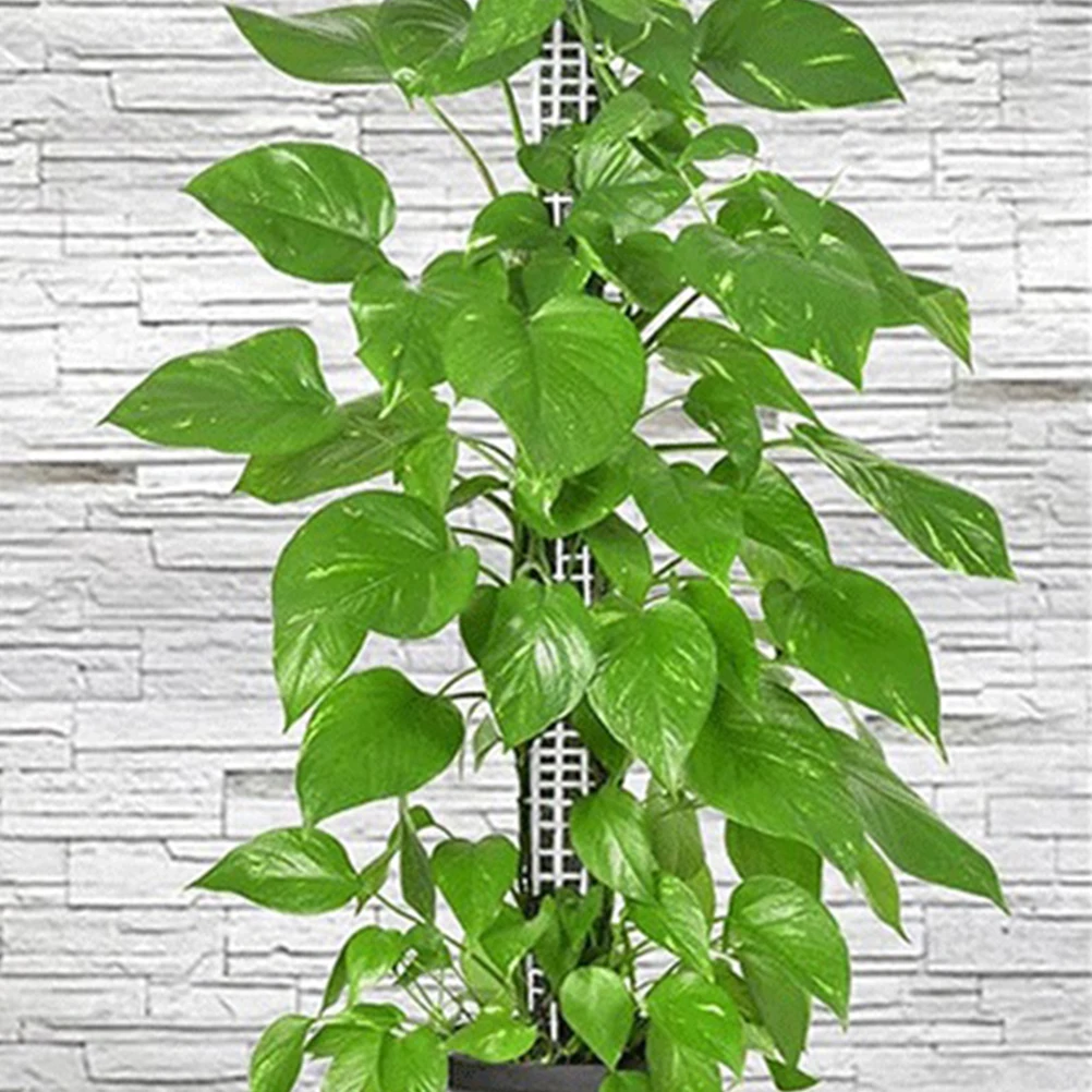 

2Pcs Moss Pole Plastic Support Climbing Plants Holder for Pot Lilies Tomatoes Cucumbers Vine Climbing Trellis Garden Plant Rack
