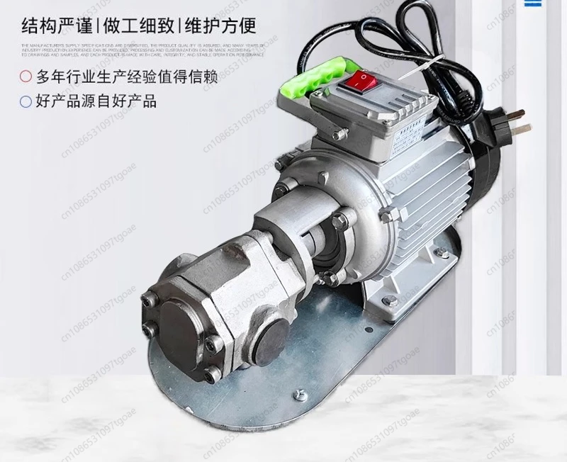 Portable, Series Gear Pump, Stainless Steel Self-priming 220/380V Portable