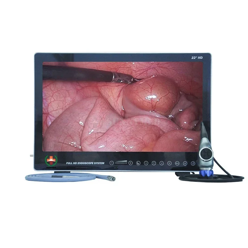 SY-PS050 Integrated Medical Portable Endoscopy Imaging System All In One Endoscopy HD Camera Clinical Analytical Instruments