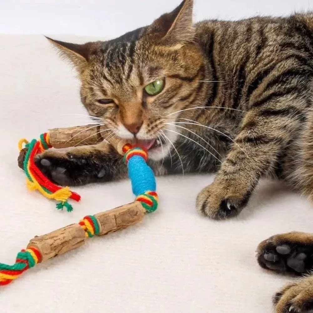New Natural Cat Chew Matatabi Stick Durable Pet Biting Rope 55cm Blue Green Cat Catnip Home Playing