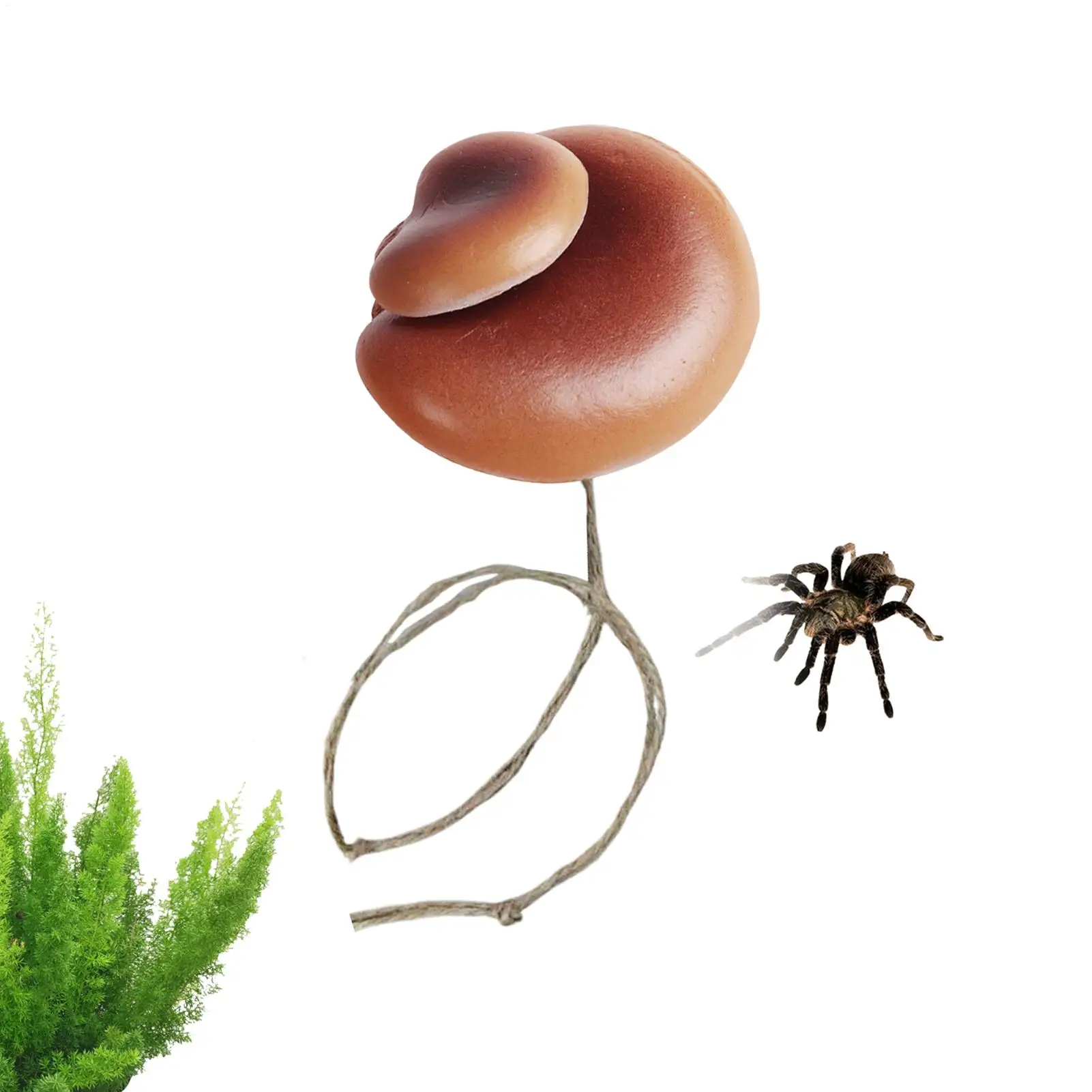 Jumping Spider Accessories Magnetic Ornament Magnetic Reptile Enclosure Accessories For Reptile Mantis Scorpion Small Animals