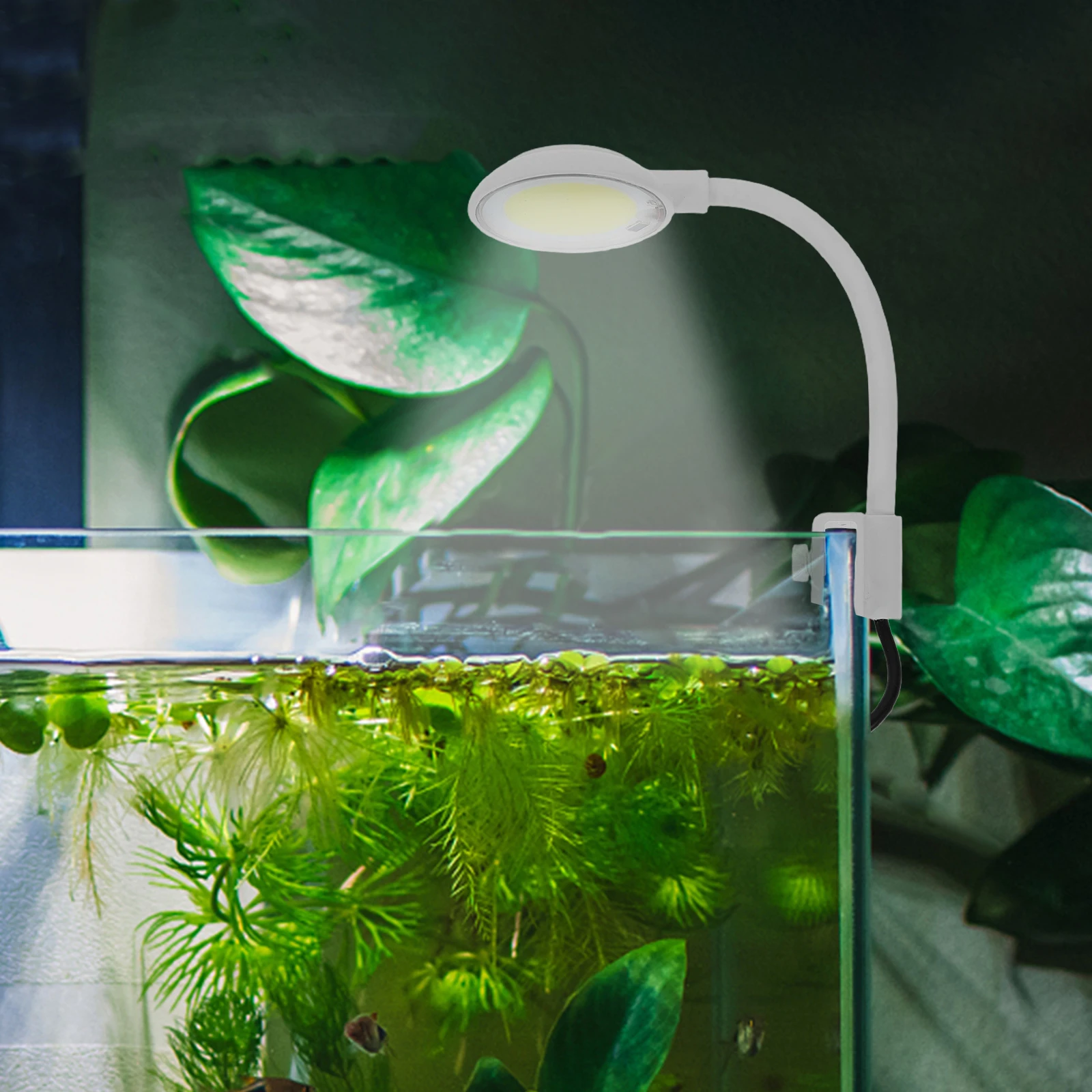 

Fish Tank USB Light Y300COB Mini Clip on LED Aquarium Lamp White Shrimp Tank Lighting Fish Bowl illumination Accessories