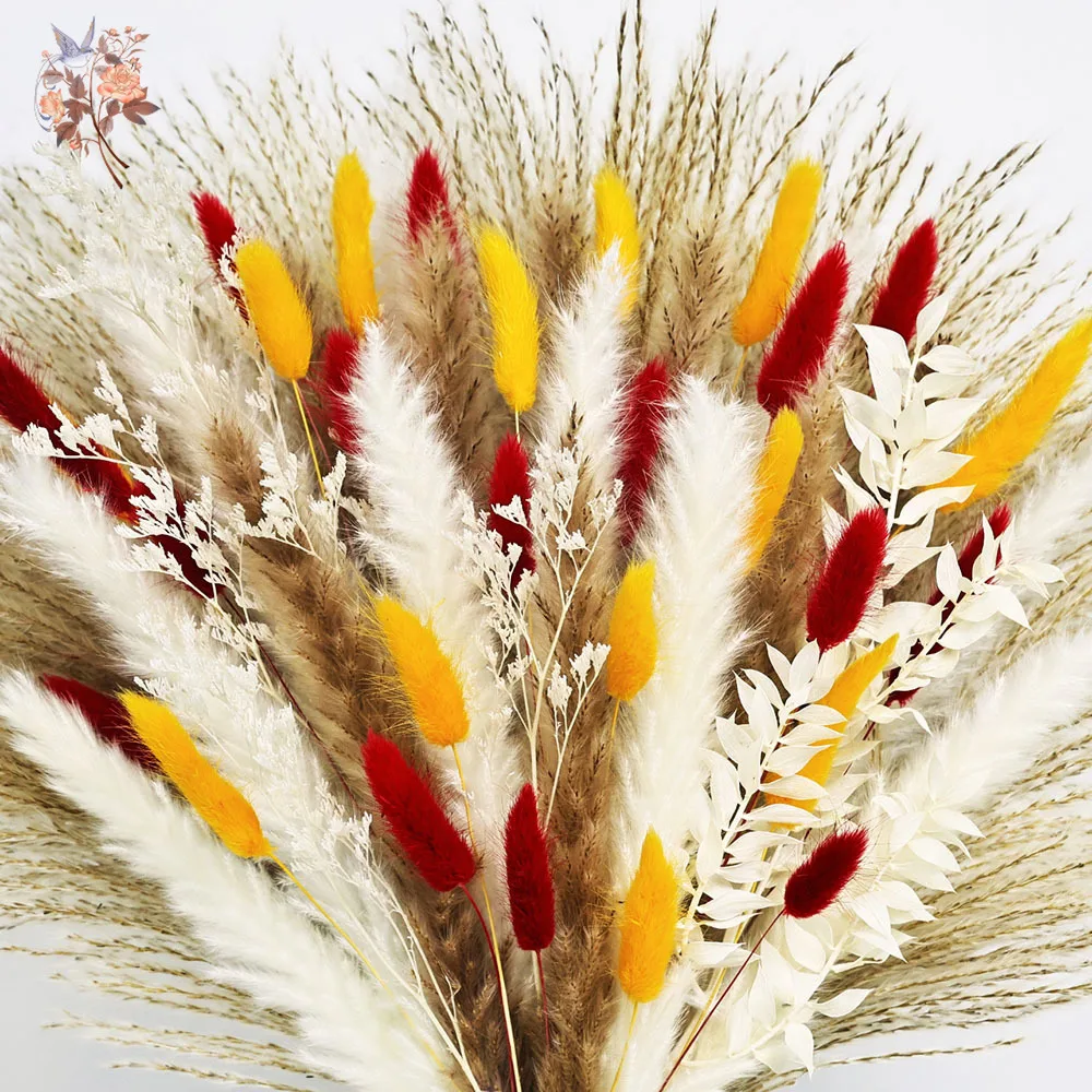 70 ينبع الطبيعية رقيق بامباس العشب القصب الزهور المجففة حزم لعيد الميلاد المنزل الجدول زهرية الطرف الديكور ترتيب الخريف #4