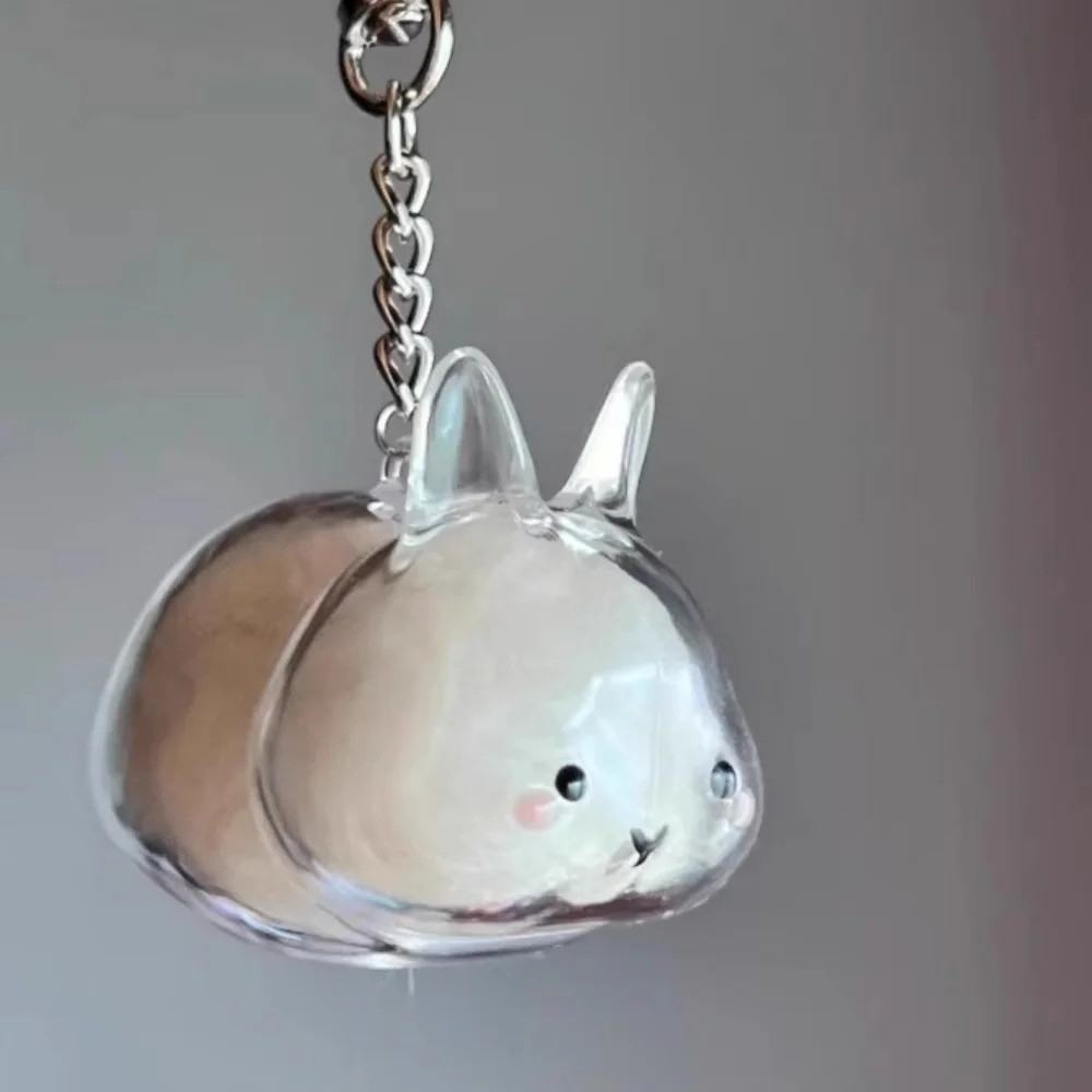 Transparent Capsule Pendant Playful Rabbit Hair Storage Box Cat Dog Keychain High-Quality Pet Hair Keepsake Capsule For Gift