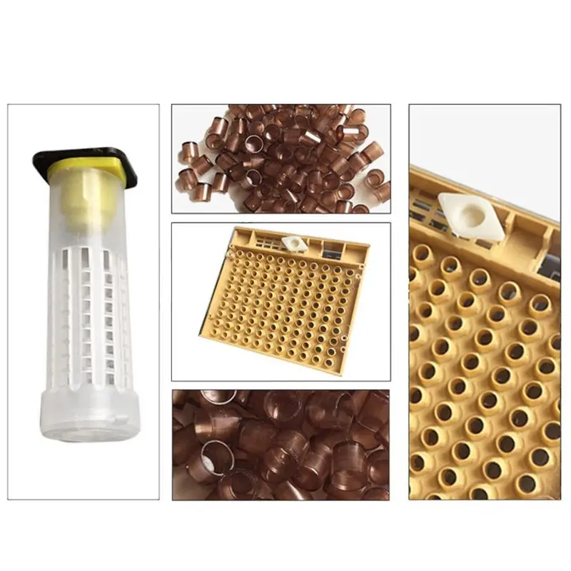 Beekeeping Tools Equipment Set Queen Rearing System Cultivating Box 110Pcs Plastic Bee Cell Cups Cup Kit Queen Cage