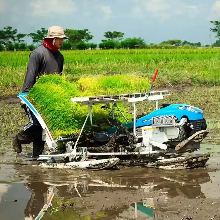 Core Components Rice Transplanter Planting Machine with Motor and Engine for Paddy Field Rice Planting