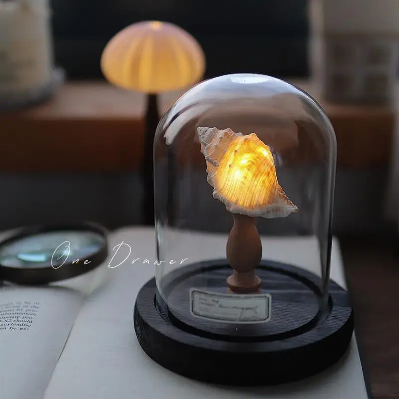 

Minimalist Retro Indoor Room Shell Sea Small Night Light Ornament Handmade DIY Material Package Creative gift Urchin Conch Lamp