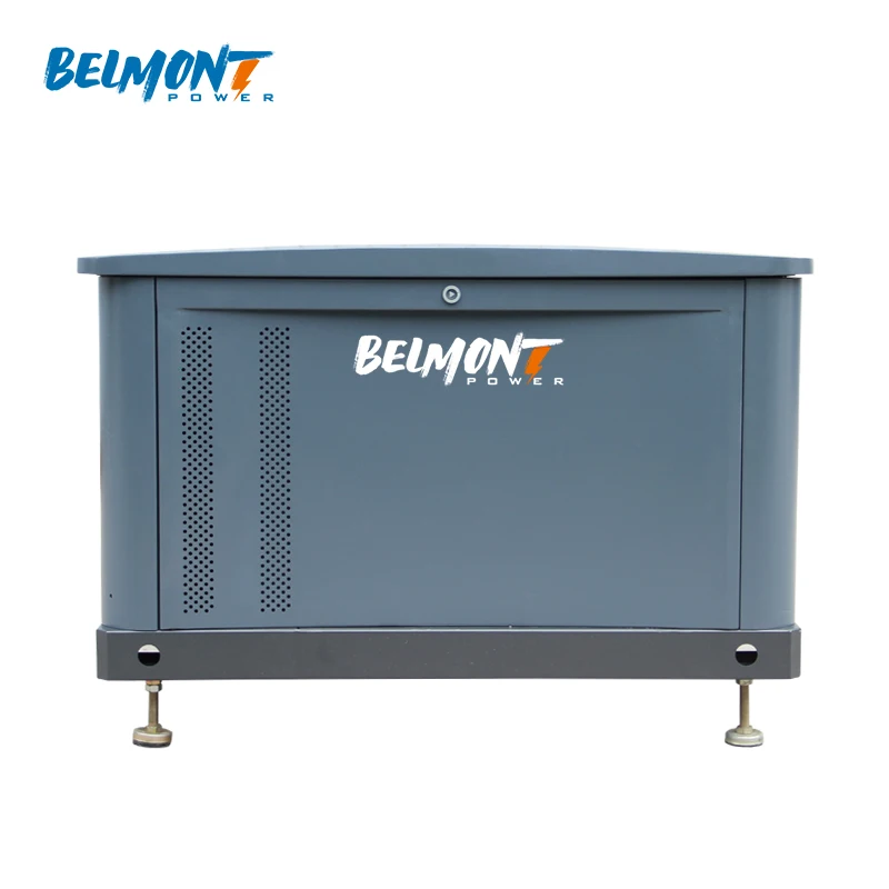 5.5kw 6kw 230v 400v 20kva 25kva 36kva 20kw 22kw 23kw 300kva Home Standby Powered Inverter Electric Home Natural Gas Generator