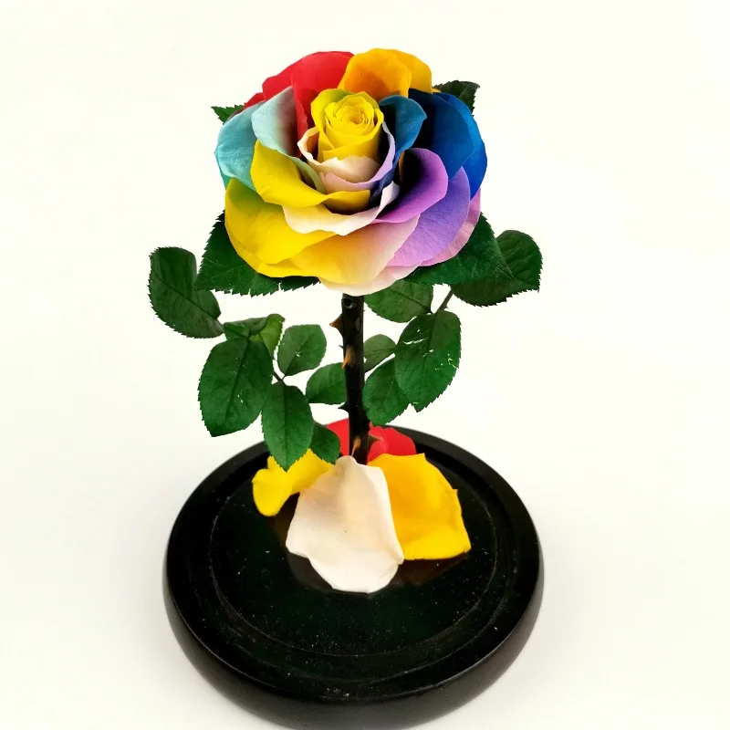 

Valentine's day gift never withered rose with fallen petal and leaves in glass doom rainbow rose handmade preserved