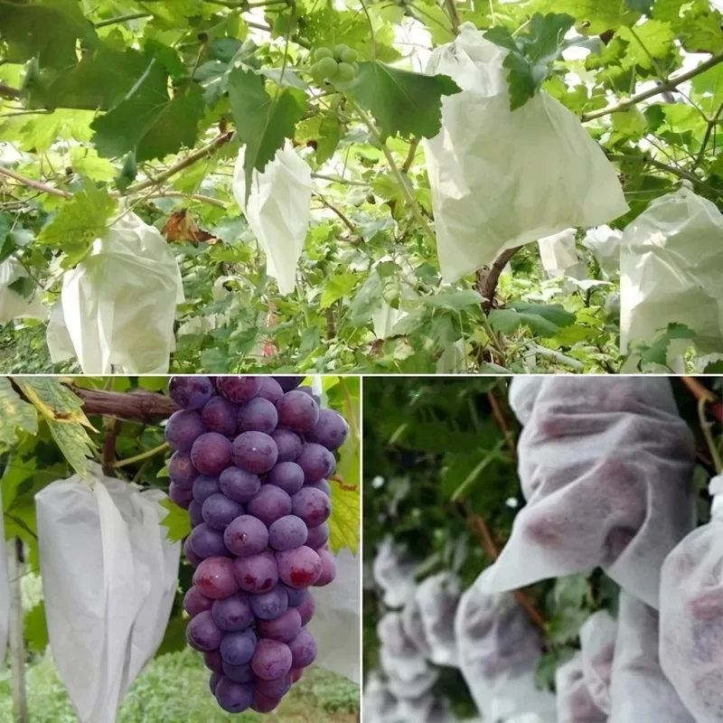 100pcs Fruit Cover Mesh Bag Insect Proof, Rain-Proof & Breathable Protection For Your Fruits, Plant Climbing Net,