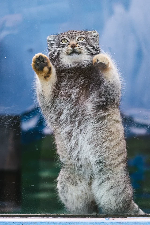 

Professional Micro Mist Ozone Hair Salon Steamer With Stand&Hair SPA Standing O3 Hair Steamer