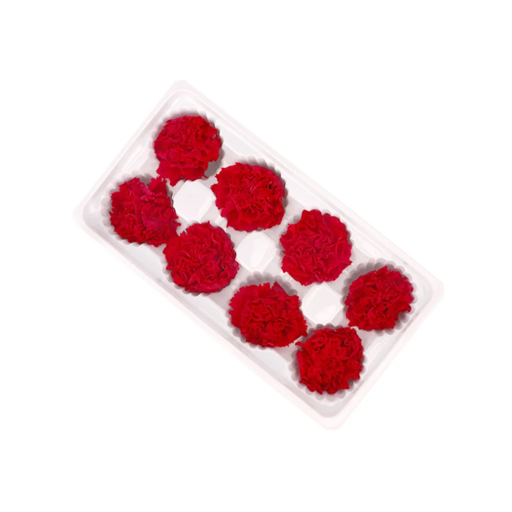 قرنفل أبدي زهرة مجففة طبيعية رومانسية للأبد هدايا تتفتح لعيد الحب وعيد الأم وعيد الميلاد #5